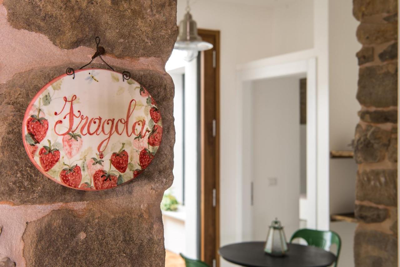 Ferienwohnung Tenuta Ca Di Bertucci Solignano Exterior foto